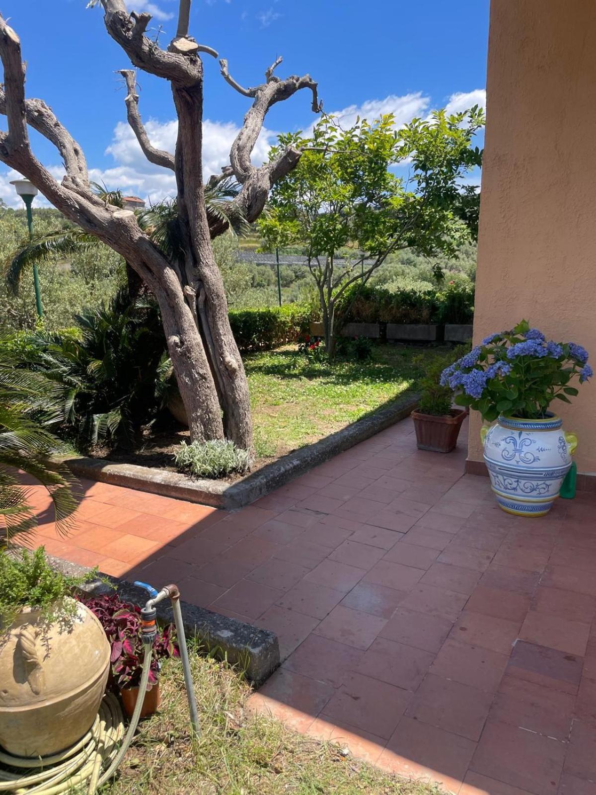 Un Paradiso A Sorrento Con Piscina Massa Lubrense Exterior foto