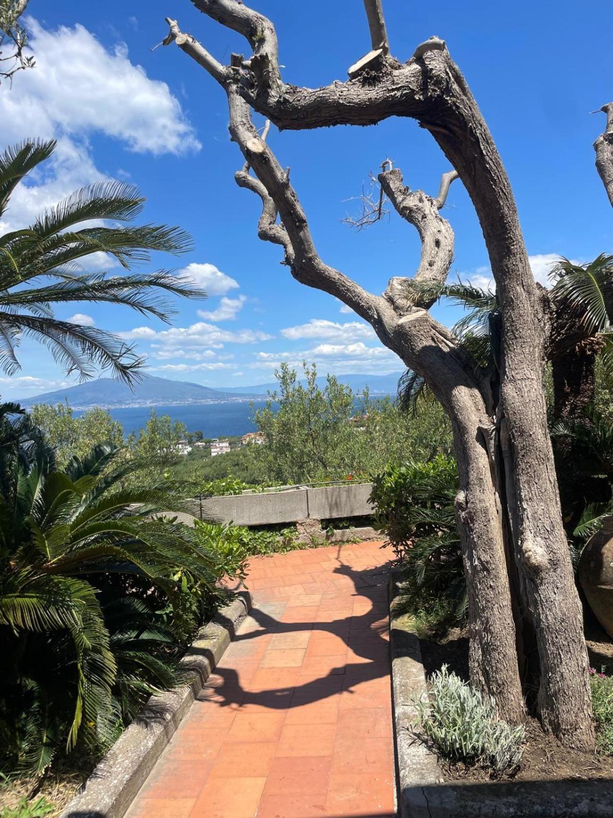 Un Paradiso A Sorrento Con Piscina Massa Lubrense Exterior foto
